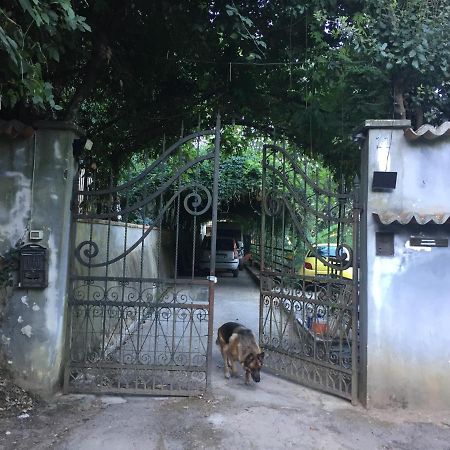 Agula Relais Appartamento Pugnano ภายนอก รูปภาพ